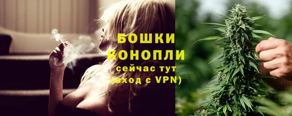 амф Гусев