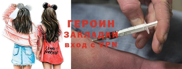 амф Гусев