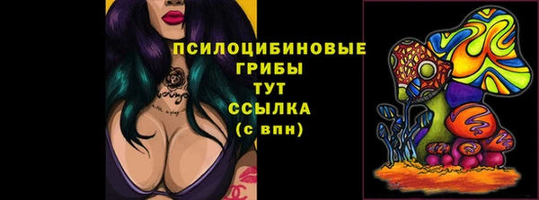 твердый Гусь-Хрустальный