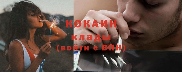 амф Гусев
