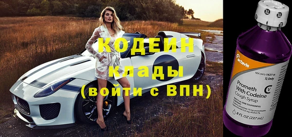 амф Гусев