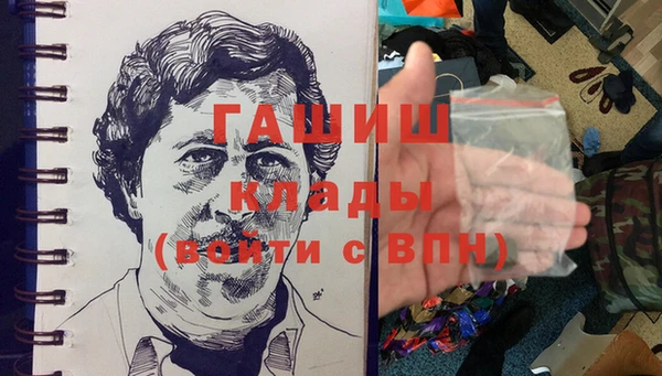 амф Гусев