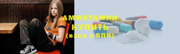 амф Гусев