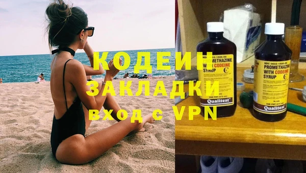амф Гусев