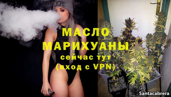 амф Гусев