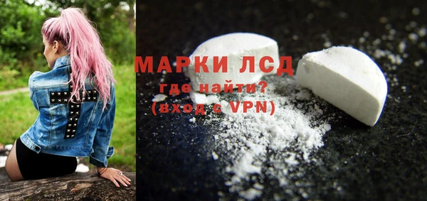 амф Гусев