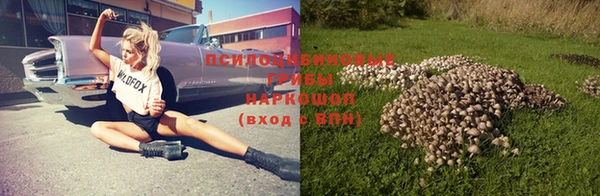 твердый Гусь-Хрустальный
