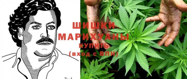 твердый Гусь-Хрустальный