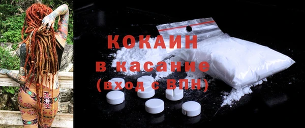 амф Гусев