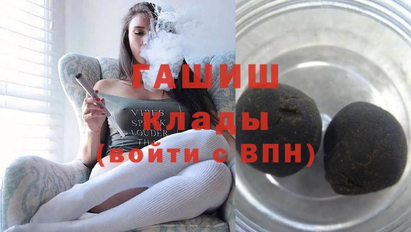 амф Гусев