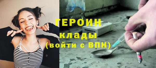 амф Гусев