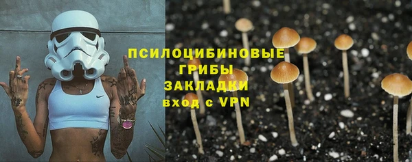 твердый Гусь-Хрустальный